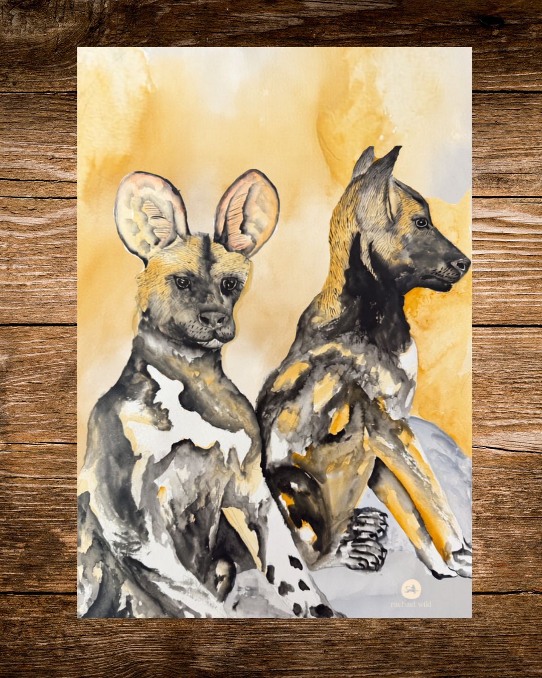 wild dog watercolour card, two painted african wild dogs on a golden background
