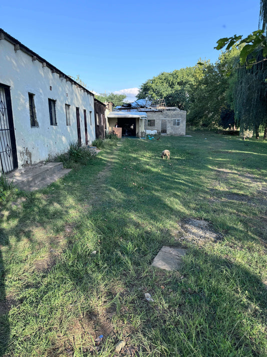 blog rachael wild drakensberg ceramics studio