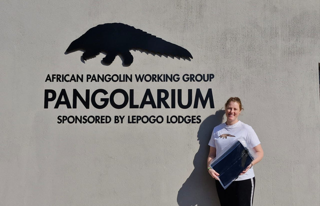 Pangolin conservation efforts led by Rachael Wild in South Africa protecting endangered species