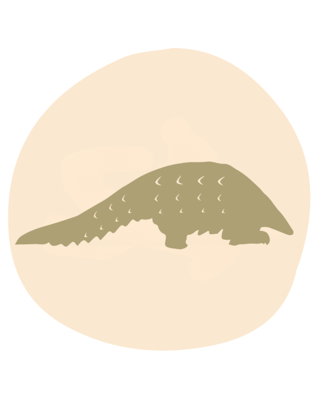 handmade ceramics south africa bowls platters candlestick holders sculptures rachael wild