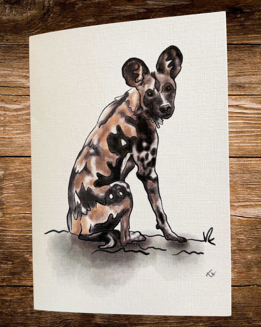 the painted line card, a hand-drawn african wild dog by rachael wild