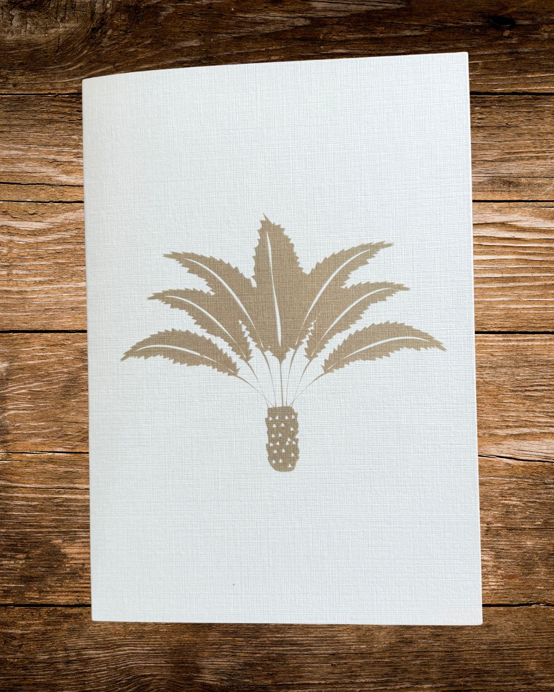 single cycad card by rachael wild