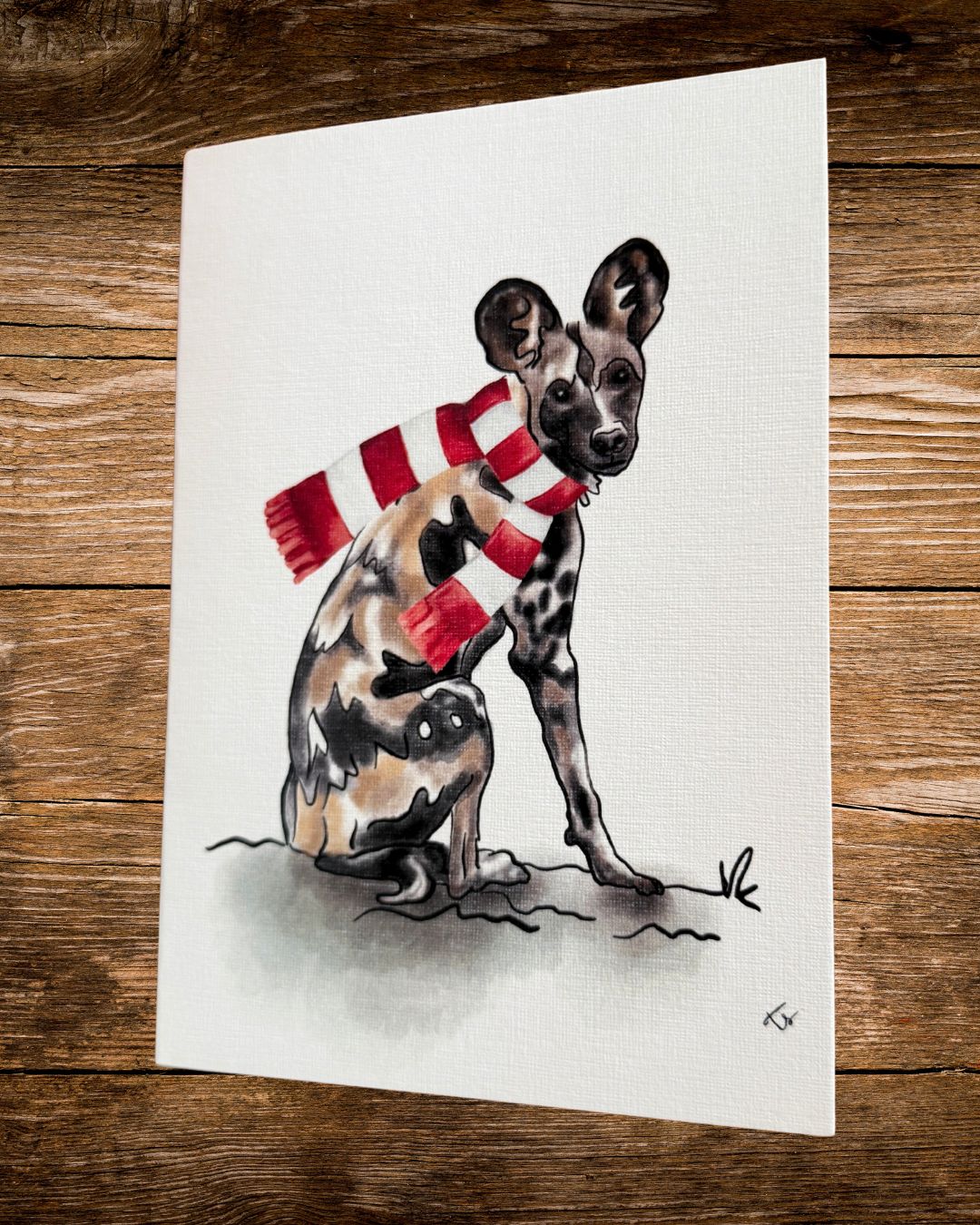 wild dog scarf christmas card, an african wild dog in a knitted scarf