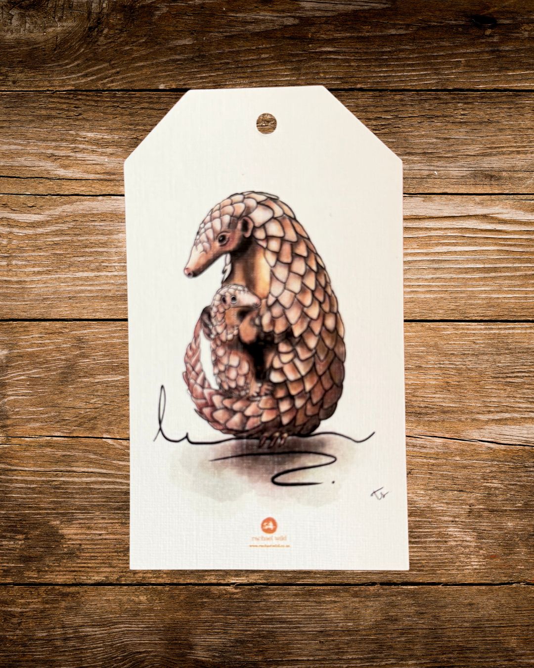 armoured embrace gift tag, a hand-drawn pangolin by rachael wild