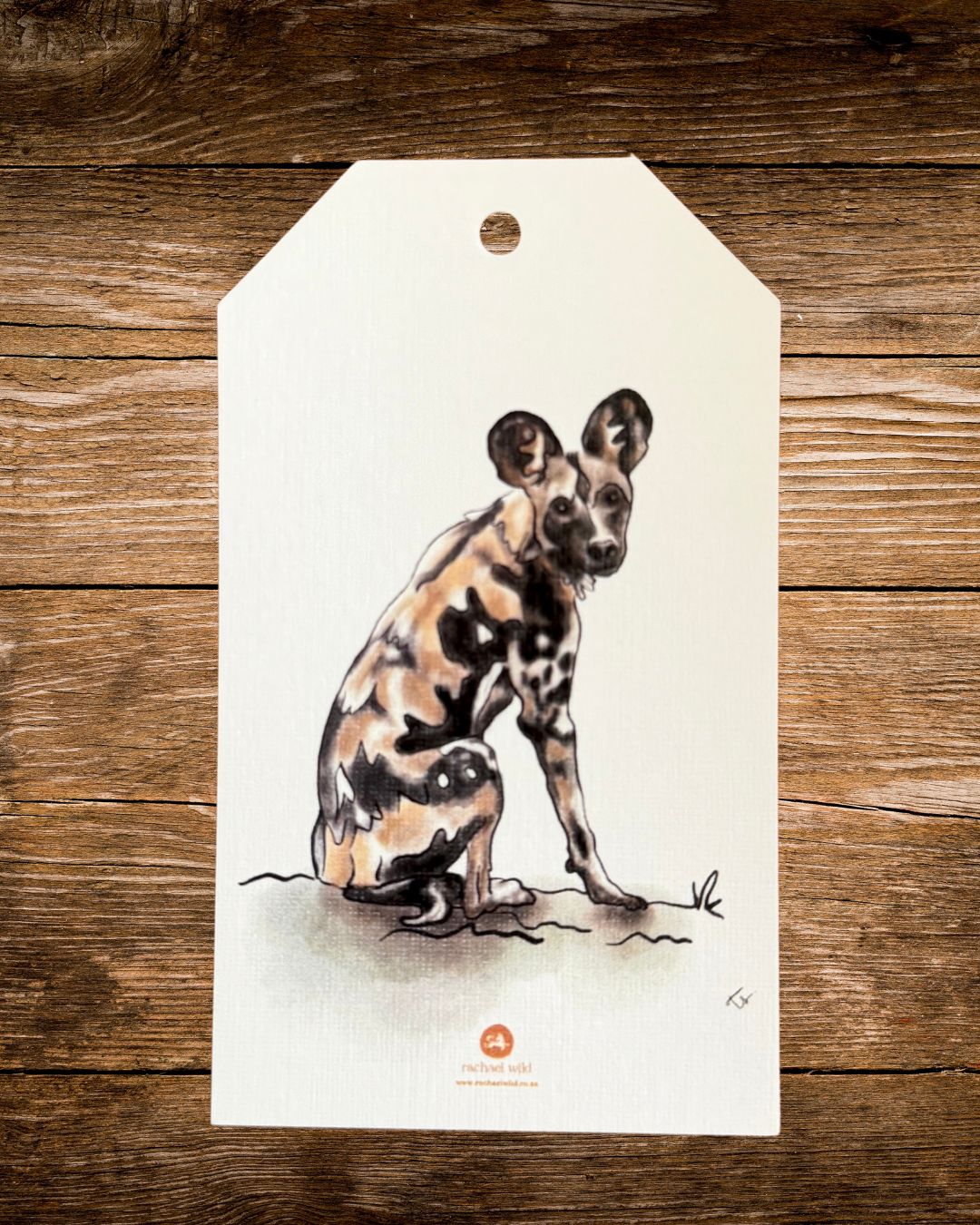 the painted line gift tag, a hand-drawn african wild dog by rachael wild