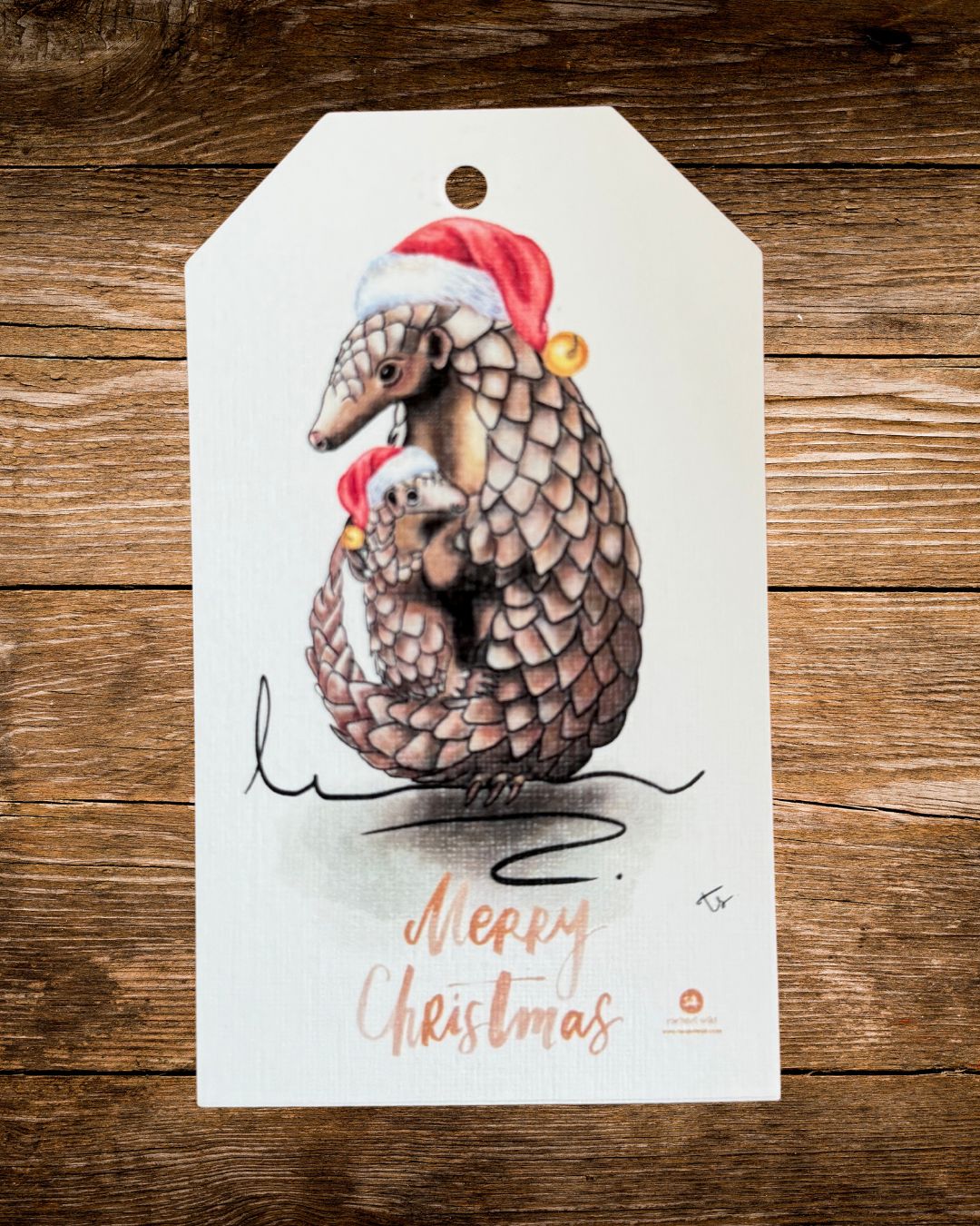pangolin hats christmas gift tag, a pangolin wearing a knitted christmas hat