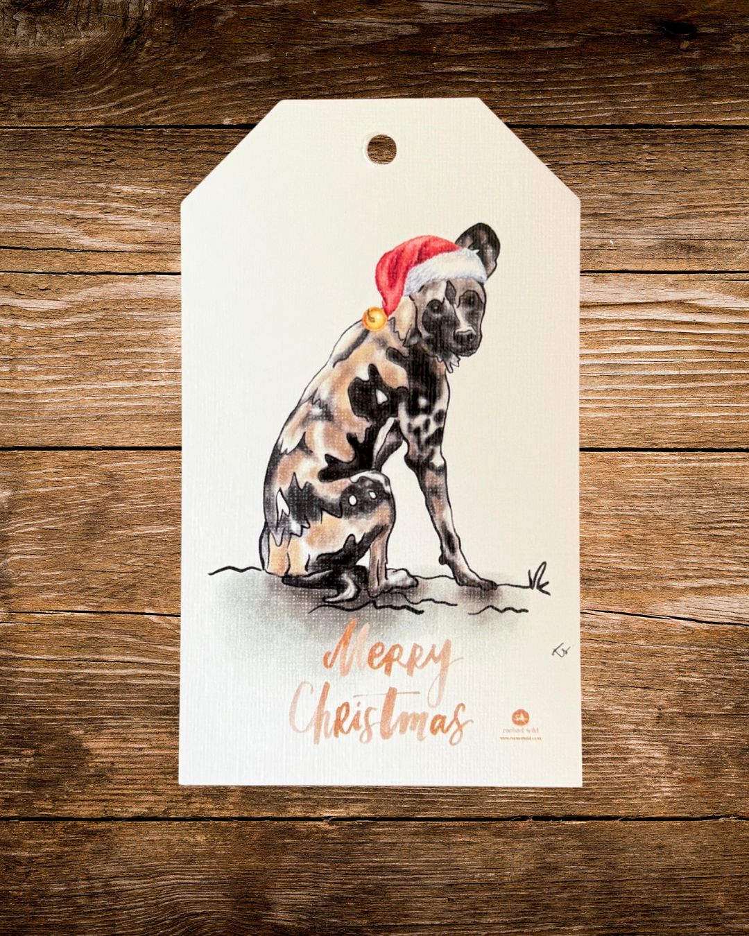 wild dog hat christmas gift tag, an african wild dog in a red christmas hat