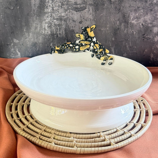 wild dog raised bowl
