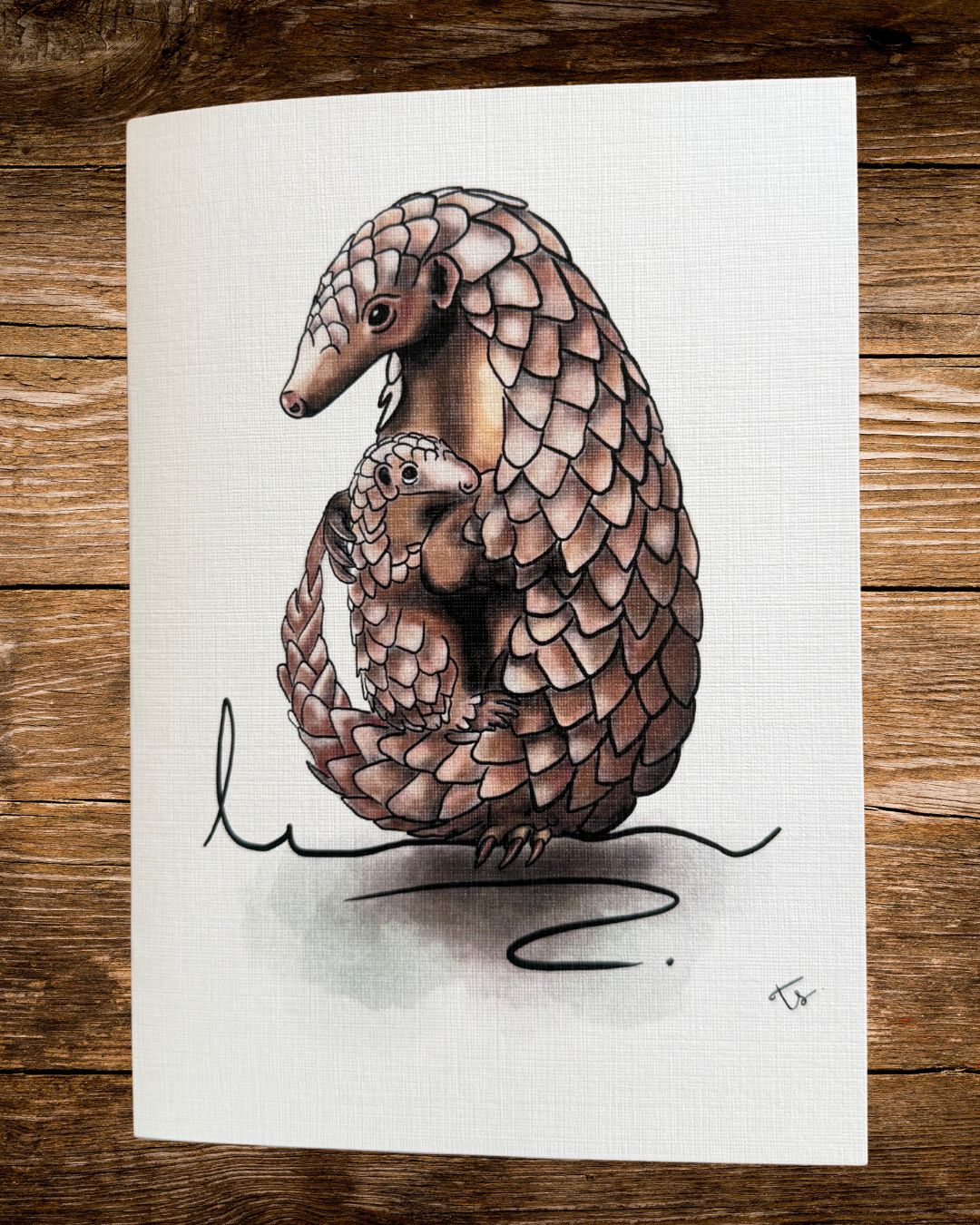 armoured embrace card, a hand-drawn pangolin by rachael wild