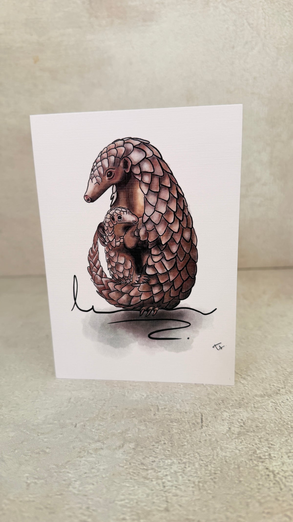 Pangolin gift card South Africa Rachael wild 