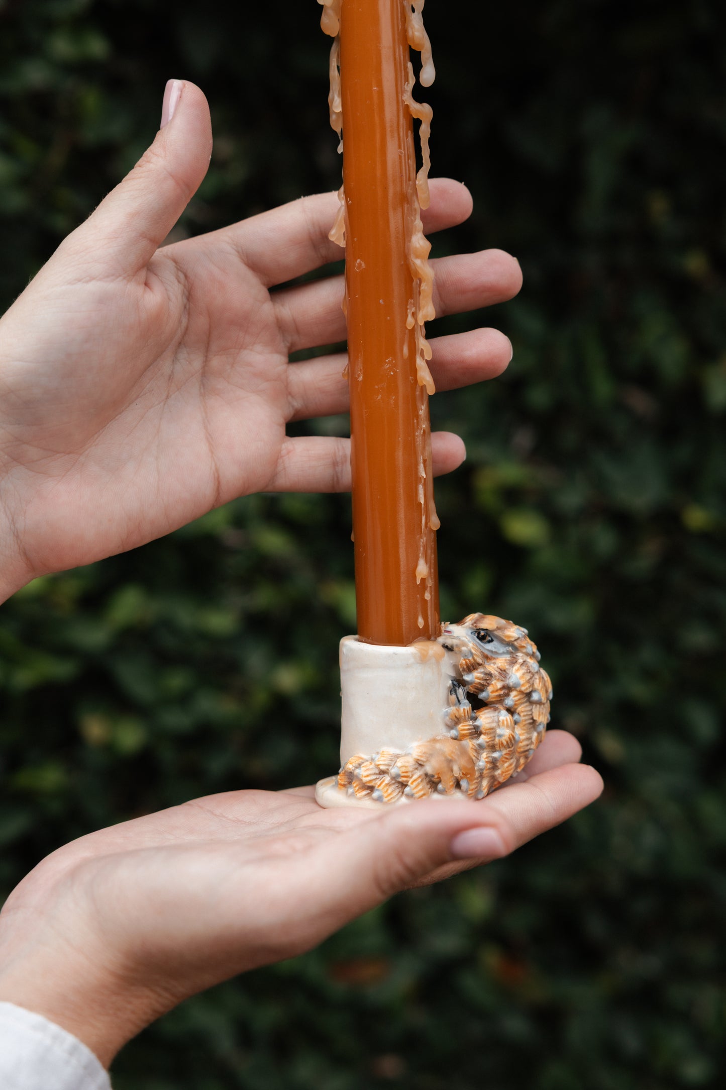 hanging ceramic sculptures endangered animals rachael wild south africa