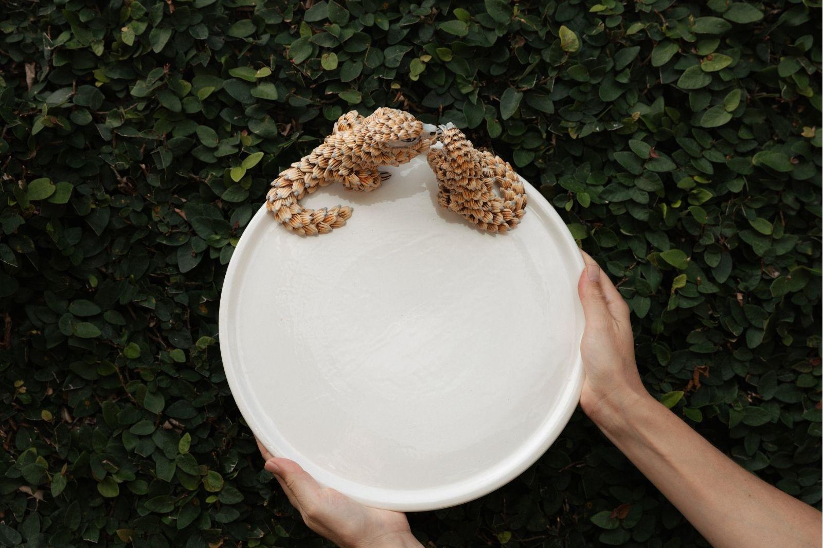 Handmade ceramic bowl crafted by Rachael Wild, showcasing artisanal design and superior craftsmanship.
