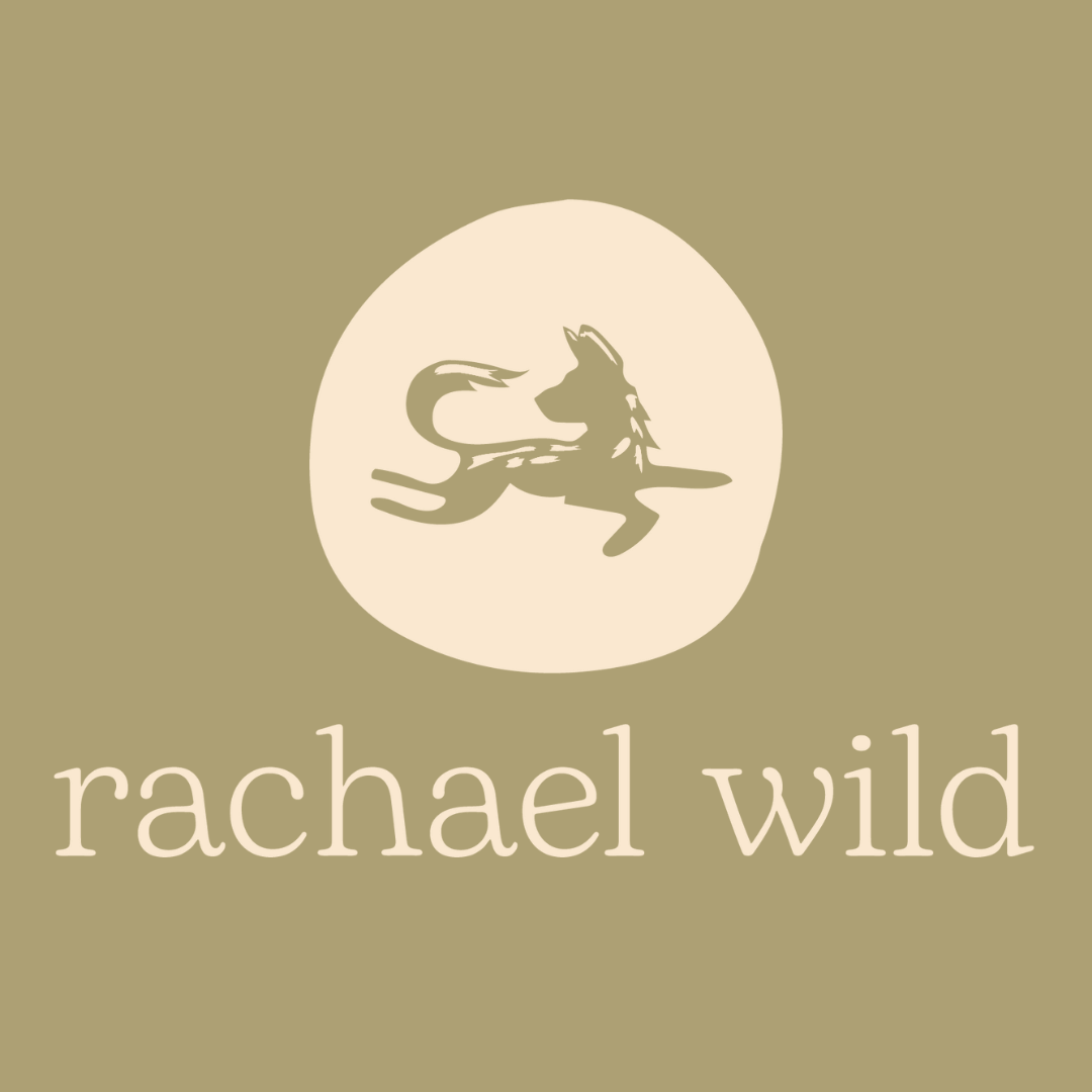 handmade ceramics rachael wild south africa