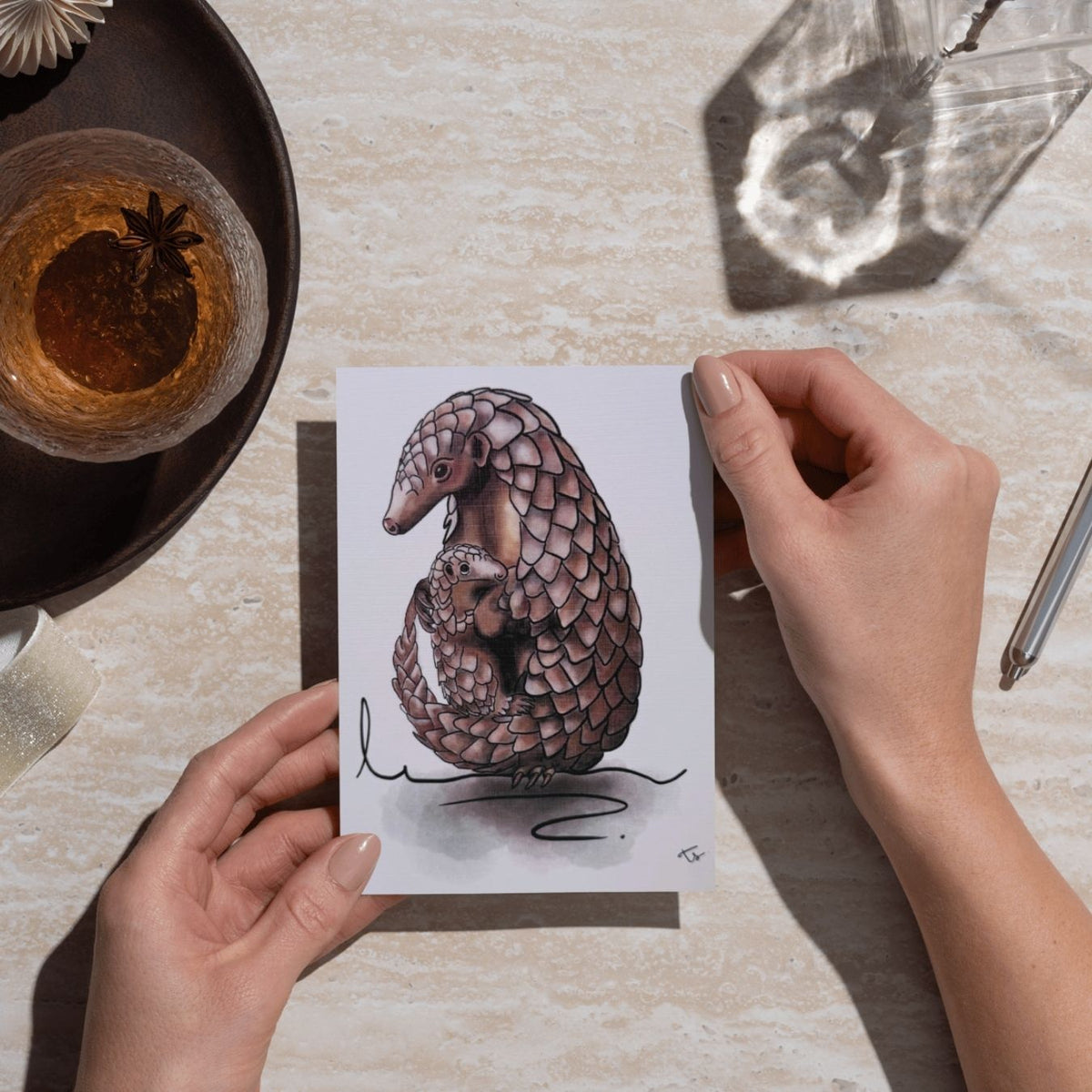 pangolin card rachael wild South Africa gift card