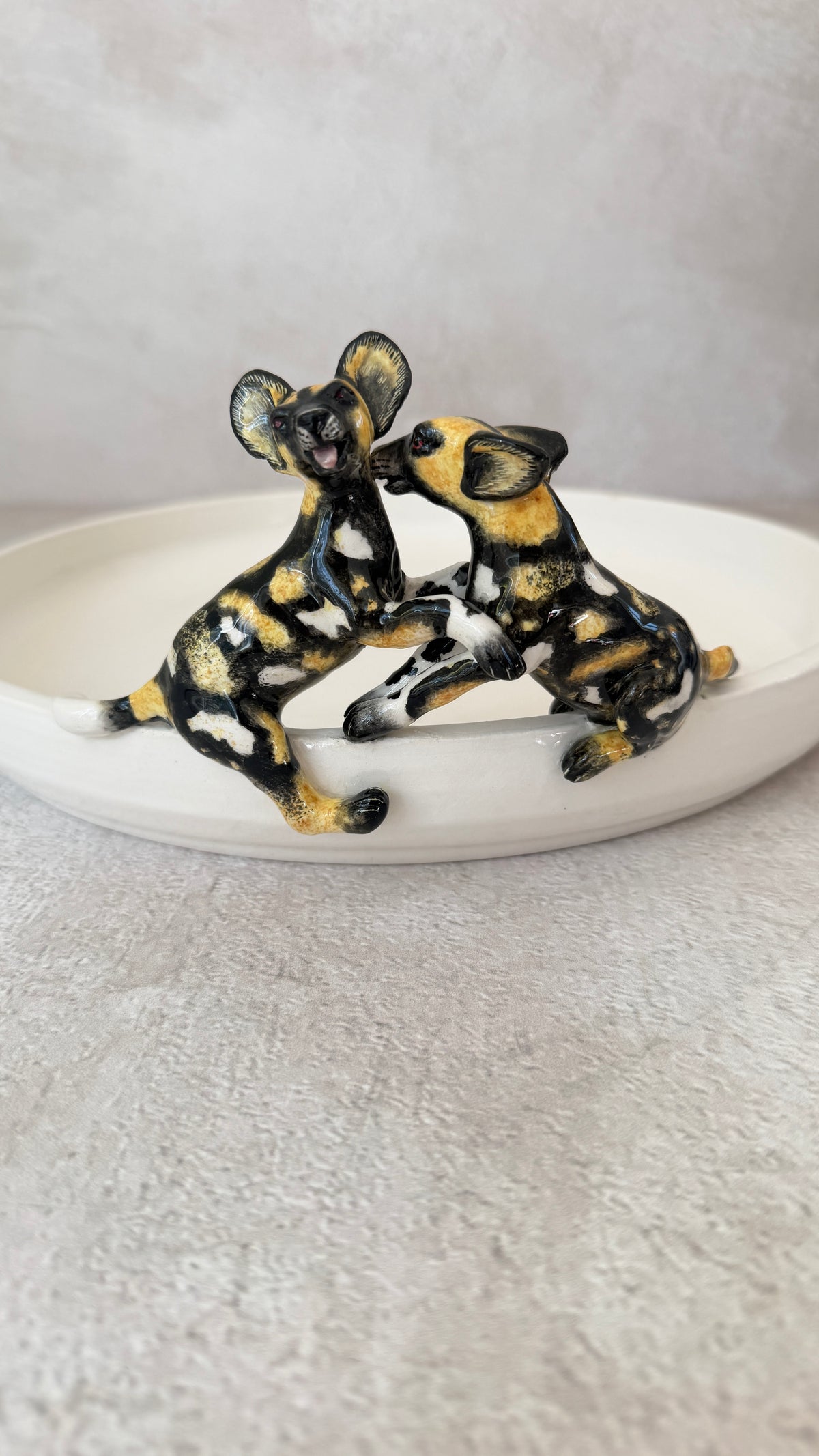 wild dog bowl Rachael Wild South Africa