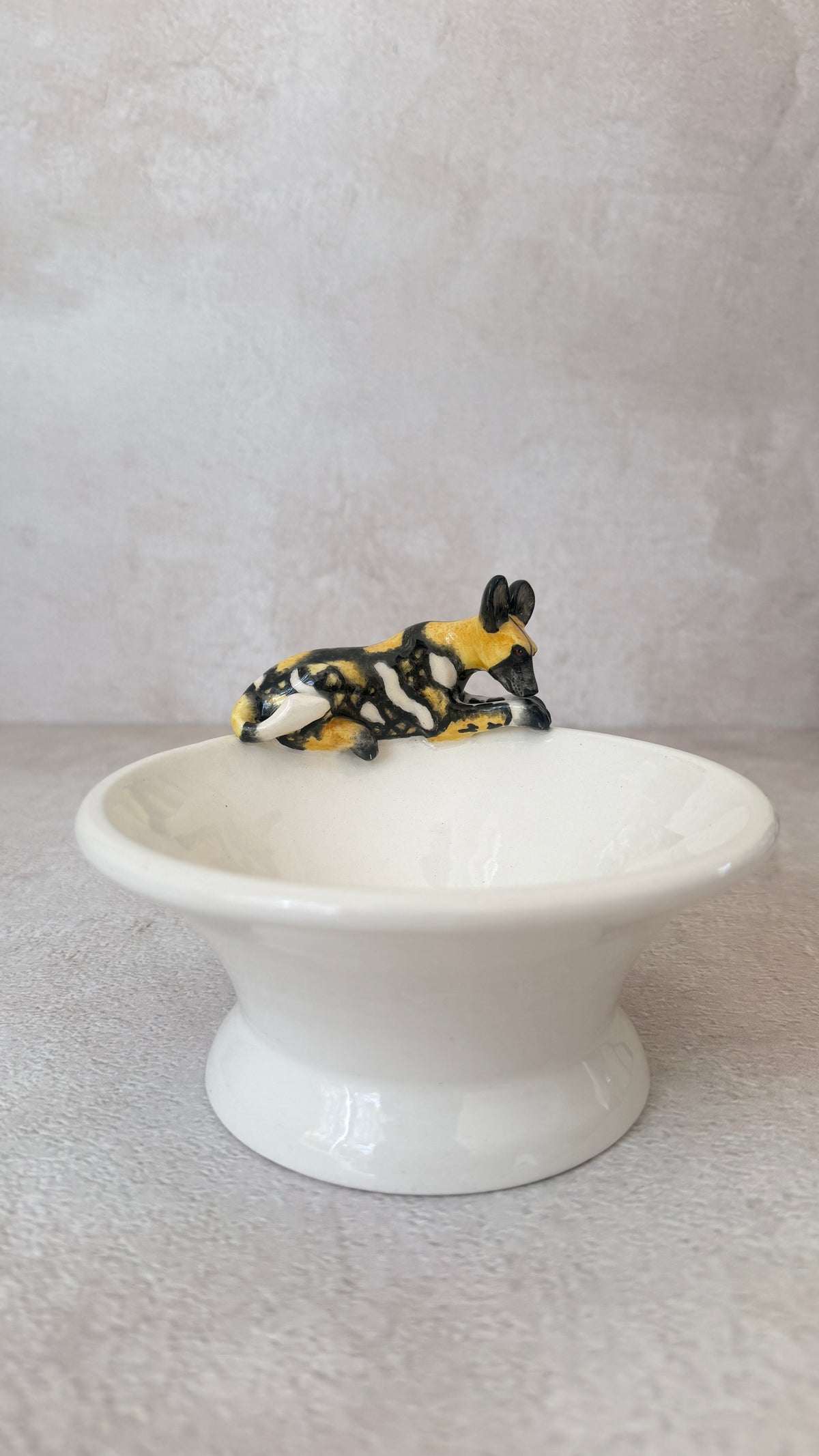 wild dog mini raised bowl South Africa Rachael Wild